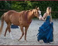 2-13JUIN 0569
